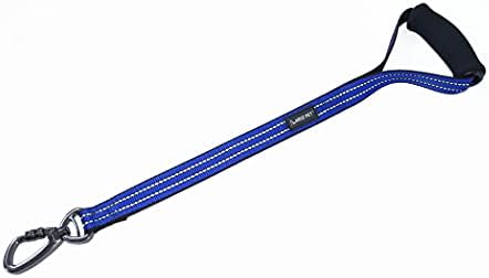 KRUZ PET KZV1020H-15L Short Traffic Leash – Training Dog Leash - Reflective Heavy Duty Click & Lock, Strong, Secure Nylon Safety Lead with Locking Carabiner Clip and Foam Handle, Blue, 1" x 20"