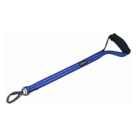 KRUZ PET KZV1020H-15L Short Traffic Leash – Training Dog Leash - Reflective Heavy Duty Click & Lock, Strong, Secure Nylon Safety Lead with Locking Carabiner Clip and Foam Handle, Blue, 1" x 20" Cover