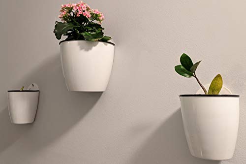 Deelf Outlet 6 Packs 5" Plastic Self Watering Pots Wall Hanging Planters Wall Mounted Wicking Flower Pots For Indoor And Outdoor African Violet, Ocean Spider Plant, Orchid, White #TOP7