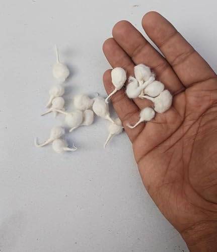 Image of Pure Cotton Round Puja Batti for Diya Lamp, Natural Cotton Wicks for Oil Lamps, Temple Prayer Jyot Wick for Festival, Aarti, Diwali, Home Mandir Use (White, 50g)