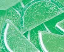 The Nutty Fruit House Jelly Fruit Slices Gummy Candy Individually Wrapped (Green Lime, 1 Pound (Pack of 1))