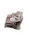 7pcs/Set Softness Plastic Dog Muzzle, Anti Bite Adjustable Pet Basket, Dogs Training Mouth Cover Mesh Cage, Breathable Comfortable, for Small, Medium and Large Dogs Care