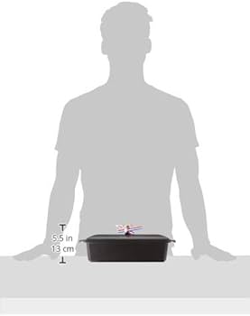 Amazon.co.jp: [ストウブ] staub レクタンギュラーテリーヌ ブラック