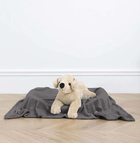 Pet Blanket for Large Small Dogs and Cats - Solid Plush Flannel Silky Soft Fleece - 25" X 35", Grey Size - Small