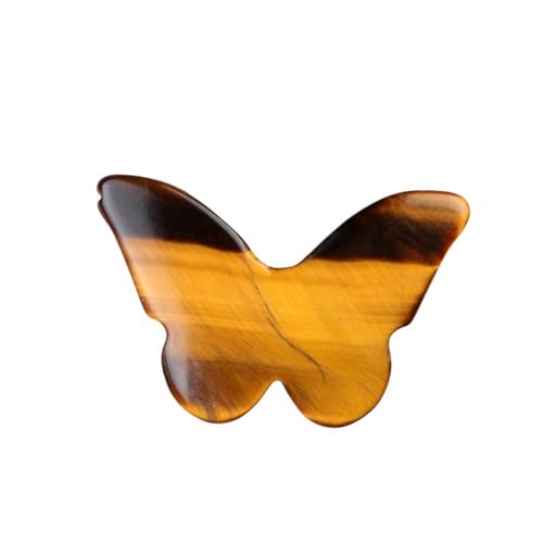 Lumisoul VRNX^mE    ? DIY΃ANZT[, 20 *30 *7 MM, NX^, AQ[g