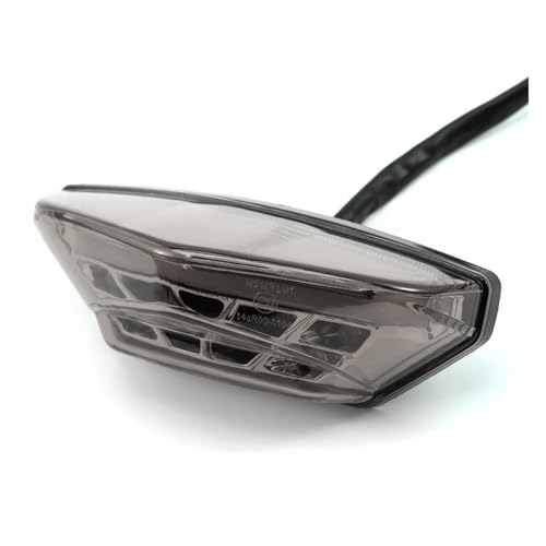 Luz de freno trasera LED para motocicleta y matrícula de vehículo eléctrico con luces diurnas