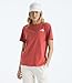 THE NORTH FACE Women's Evolution Edge of Light Box NSE Short-Sleeve Tee | Regular Fit Cotton Shirt with Logo Graphic, Mars Dust, Large