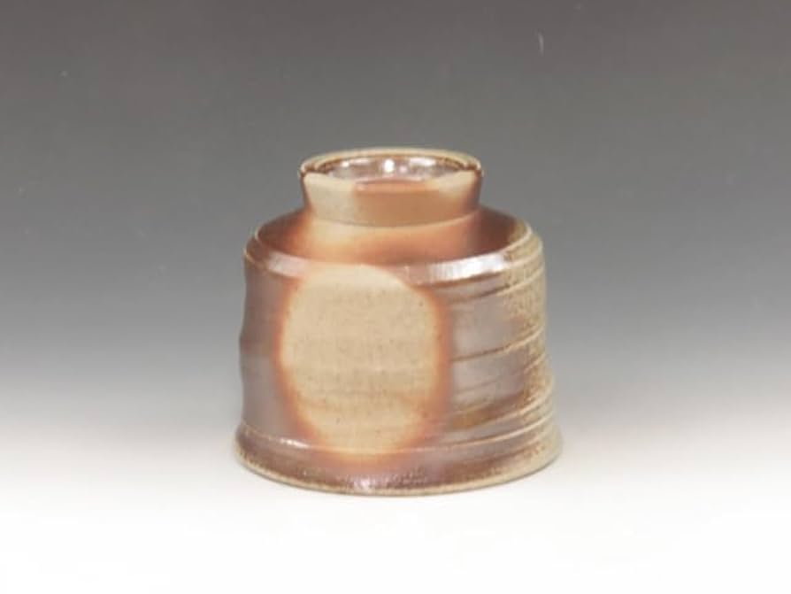 Amazon.co.jp: 大谷焼（徳島県） 元山窯 酒器 ぐい呑 焼締め窯変