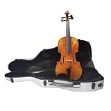 La squisita fattura e i materiali garantiscono un suono chiaro e duraturo, rendendo il violino uno strumento incoraggiante per i principianti.