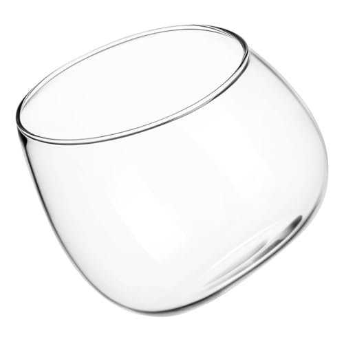 Toyvian Vase en Verre Rond pour Plantes Succulentes Ouverture Inclinée, Terrarium Élégant pour Décoration Intérieure et Étagères, Mettant en Valeur...