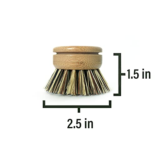 Image of 6 pcs Wooden Dish Brush Replacement Heads Made of Renewable Bamboo Wood and Natural Bristle Fiber, Durable, Long Lasting (Palm /Coconut Fiber Bristles)