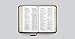 ESV Compact Bible (TruTone, English Saddle, Ornament Design)