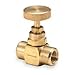 Weksler, BBV4, Valve, Needle, 1/4 in, Brass, 600 PSI