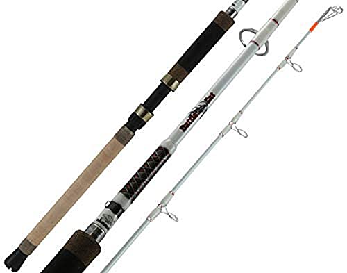 Catfish Fishing Rod Catfish Fishing Rod Selection: Heavy-Duty Requirements &#038; Options