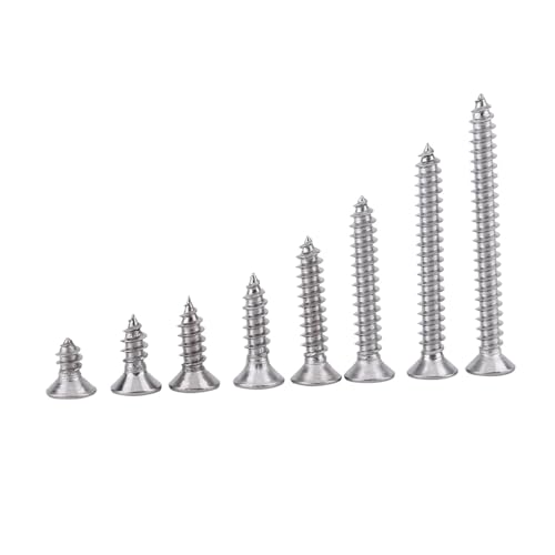 Conjunto de 200 Tornillos Autorroscantes M3 Acero Inoxidable miniatura 6