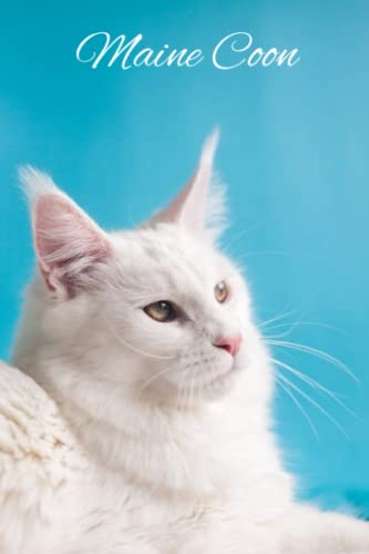 Preisvergleich Produktbild Maine Coon: Notizbuch weiße Katze