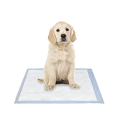 VIRSUS tappetini igienici a 5 strati per Cane 60x60 imbustati singolarmente traversine per Cani 90 pezzi Animali Domestici con angoli adesivi anche per Gatti Anti Odore - C