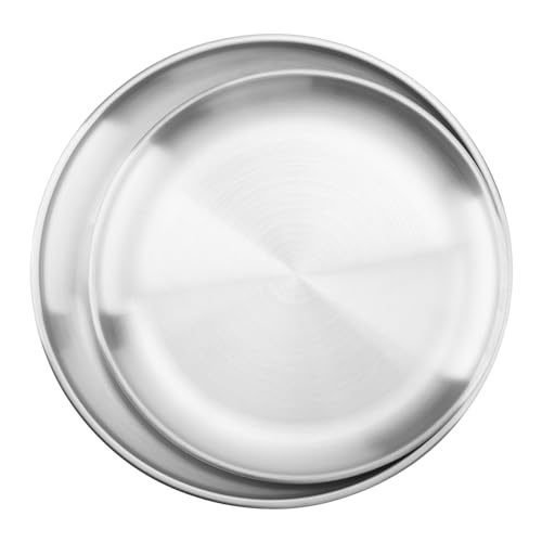 YIXNSW 2 bandejas para pizza de acero inoxidable, redondas, diámetro de 20 cm/23 cm, molde para pizza, acero inoxidable, para uso doméstico, horno, camping, pícnic, color plateado