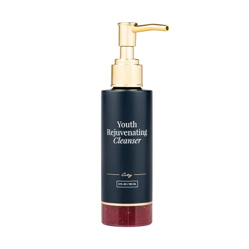 City Beauty Youth Rejuvenating Cleanser - Daily Face Wash - Hydrating & pH-Balanced - Natural Fruit Extracts Gently Exfoliate for Refreshed, Smooth-Looking Skin - Anti-Aging Cruelty-Free Skin Care