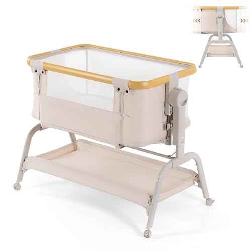 Familypoint xr[oVlbg h}bgXJo[toVlbg LX^[txbhTChoVlbg [t ߉\ xbhɃtBbgA2023NVpxr[xbhxr[xbh