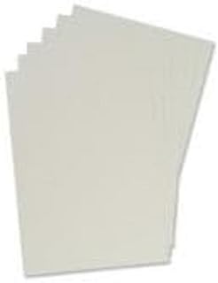 Apex 65009 - Pack de 100 portadas cartulina imitación cuero A4, color blanco