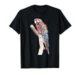 Macaw Parrot Designs