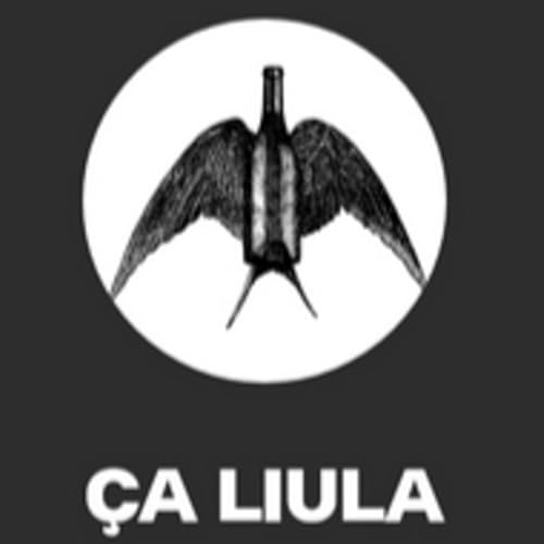 De xerrada amb...&Ccedil;a Liula - Guillem Canyelles