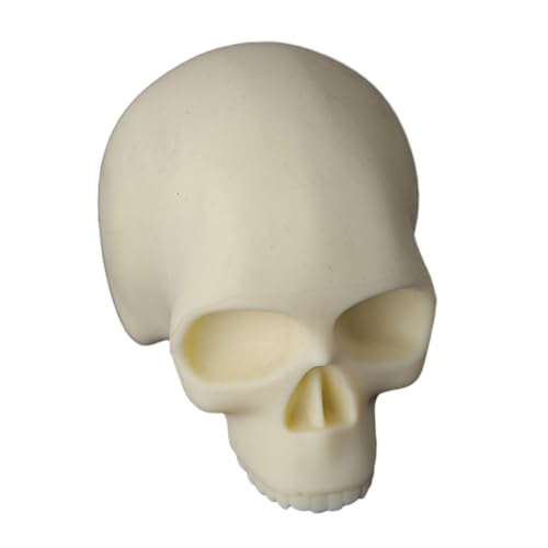 Silicone Skull Practice Model Soft Silicone Practice Model Fake Skin Soft Silicone For Beginners Experienced