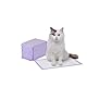 Amazon Basics Katzenstreu-Pads, 20er-Pack, duftfrei, Lila und weiß