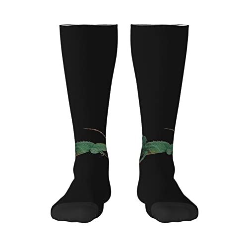 Buytruew Meias unissexo inovadoras, meias de répteis camaleão, meias casuais divertidas para homens e mulheres, 1 preto