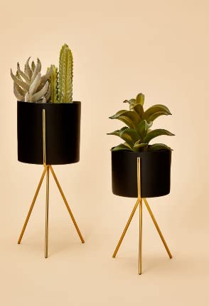 Image of Planter stand indoor rustproof durable stylish modern shelf living room sturdy stable decor decoration Pot Stand mid century - Small (Set of 2 Black)