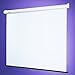 Draper 209003 Star Manual Wall and Ceiling Projection Screen Matt White 70X70IN with Case