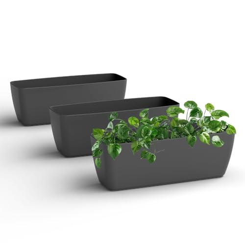 Image of YUCCABE ITALIA SHERA CABI Tray 16 INCH Plastic Flower Tray Pot Unbreakable Rectangular Planter Suitable for Home Garden Seedling Indoor and Outdoor (Grey, Pack of 3)