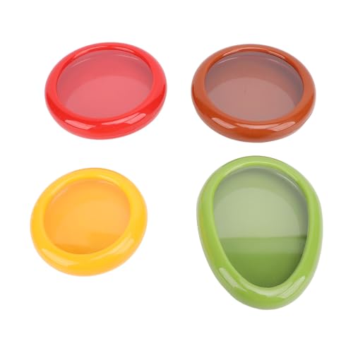 Sahgsa Paquete de 4 cajas de almacenamiento de frutas reutilizables, conservación eficaz, recipientes de plástico para almacenamiento de frutas y verduras, caja de nevera, bandejas de almacenamiento
