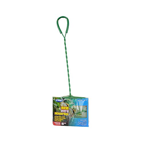 Image of Marina 5-Inch Black Coarse Nylon with 10-Inch Handle (Pack of 2)
