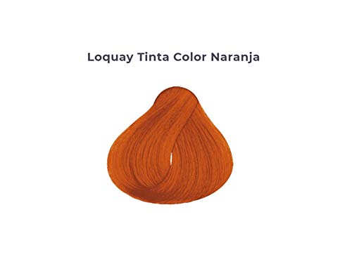 Coloración, Personal Care Appliances tinte loquay Marca Loquay (2)
