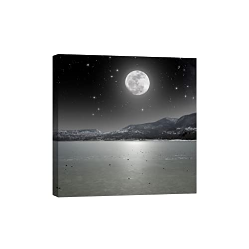 Tableau canvas nature 80 x 80 cm dcl399-1 decoration murale luminescente