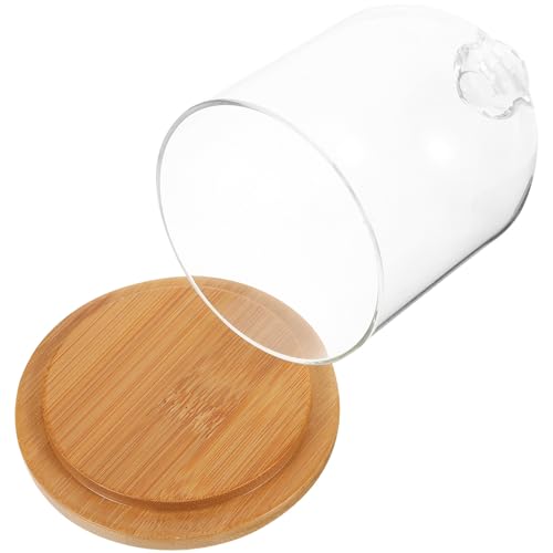 Gatuida Vitrine Miniature en Verre Transparent avec Socle en Bambou 9x14 Cm Dôme D'exposition pour Figurines Dôme de Rangement et Présentoir à Poupée pour Collectionneur Cloche en Verre