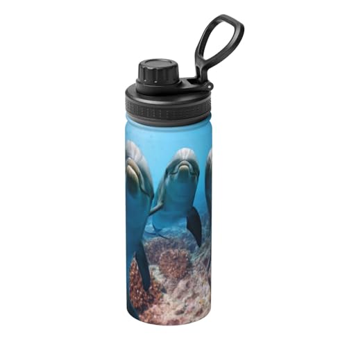  CJ vg }OJbv RrjJbv ^fM XeX{g y ۗ 킢E ۉ 530ml j̎q ̎q  l q v[g