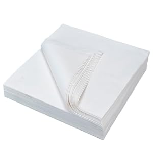 Dorccsi 100 Stück Vogelkäfigeinlagen EFFSFAXYWRAN43VDQ17IIRB