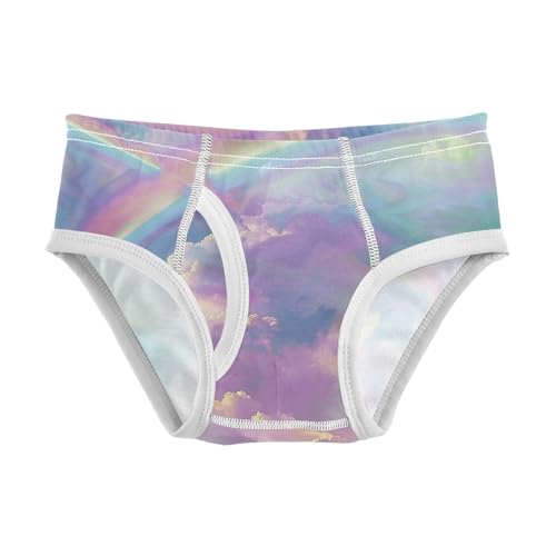 visesunny Boys Cotton Underwear Dreamy Rainbow Cloud Printed Toddler Soft Training Briefs Size 2T-8Y for Kids