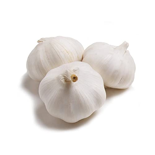 Lulu Garlic Pure White China 250 g Approx.