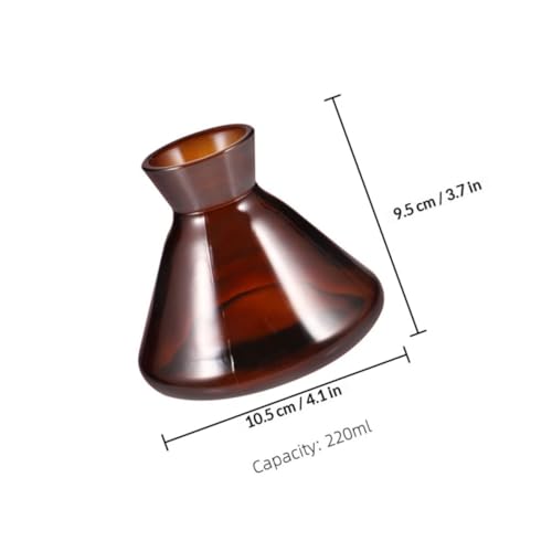 Botella difusora de fragancia de vidrio transparente TOYANDONA de casa 3