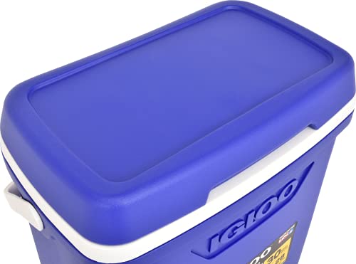 walk in cooler 2026 34