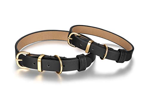 Scamper & Co Hundehalsband aus echtem Leder mit Mikrofaser-Schmucksteinen, Pyramidenbesetzt, 33 cm, Schwarz