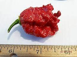 Carolina Reaper Seeds"All Included in Growing kit" Grow Carolina Reaper Pepper (B0B8RKN9B8) Amazon Price History, Amazon Price Tracker