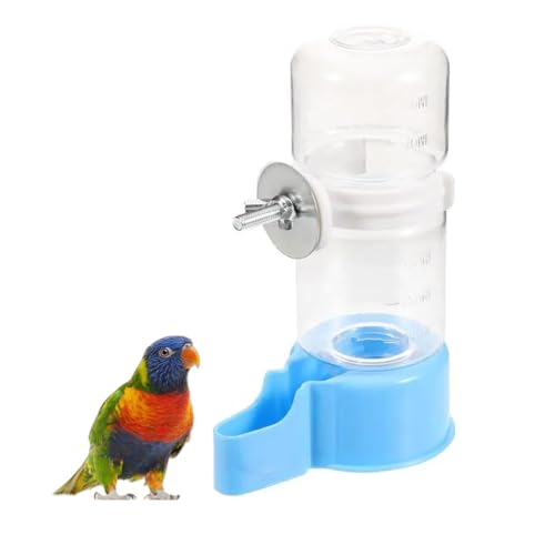 parakeet food