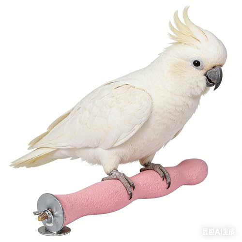 Image of Bird Perch Parrot Stand, Wooden Stick Paw Grinding Rough-surfaced Chew Toy for Birds Parrots Cockatiels Cockatoo Lorikeet Conure Parakee Cage Accessories, 8.7 inch,Pink