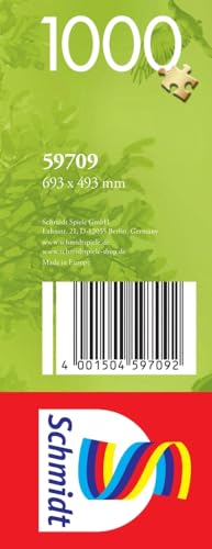 Schmidt, Multicolored, 69,3 x 49,3 cm - Image 2