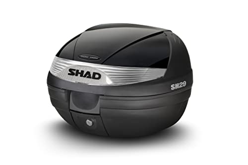 Shad